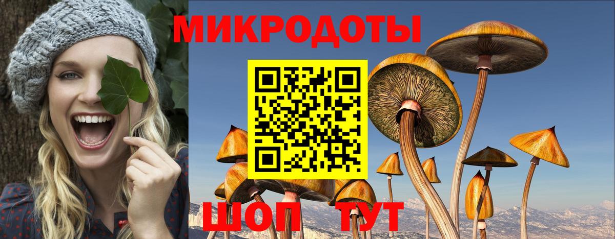 Орск  Псилоцибиновые грибы GOLDEN TEACHER  Вход с VPN  Псилоцибиновые грибы ЛСД 