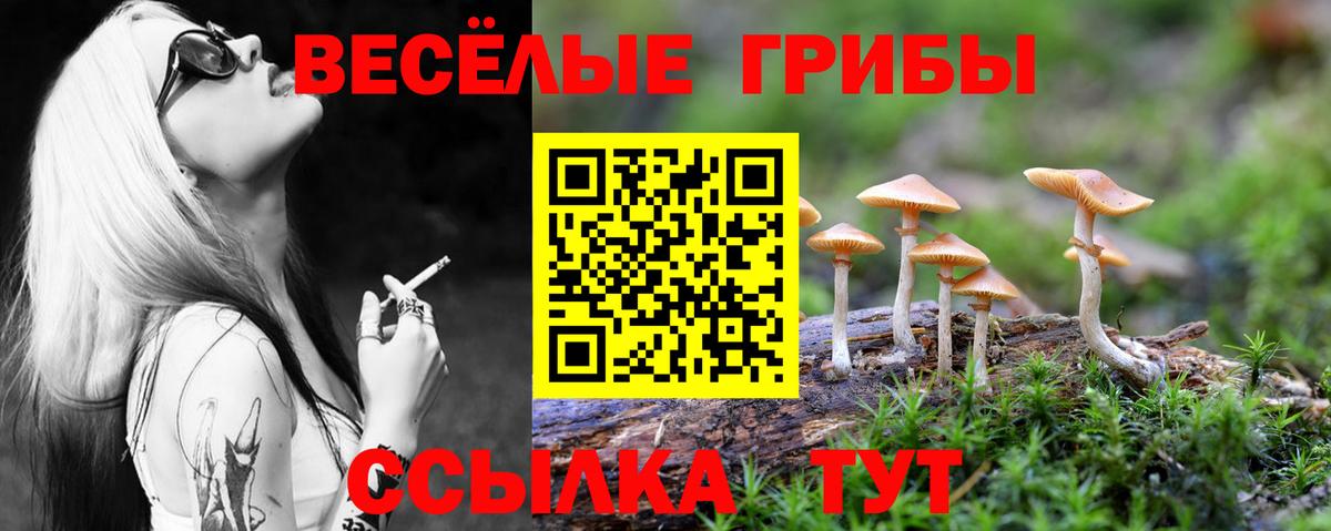 Галлюциногенные грибы прущие грибы Орск